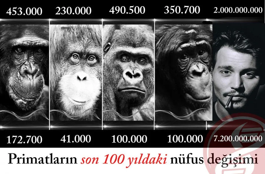 Bilinçsiz Primat